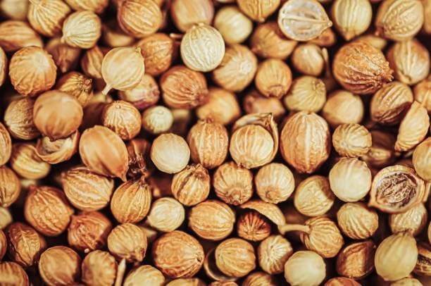 تصویر 2 از خرید تخم گشنیز خوش عطر + قیمت فروش استثنایی